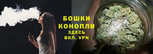 ПСИЛОЦИБИНОВЫЕ ГРИБЫ Заволжье