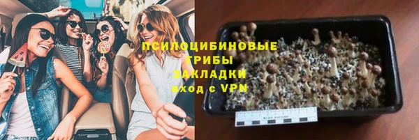 ГАЛЛЮЦИНОГЕННЫЕ ГРИБЫ Волоколамск