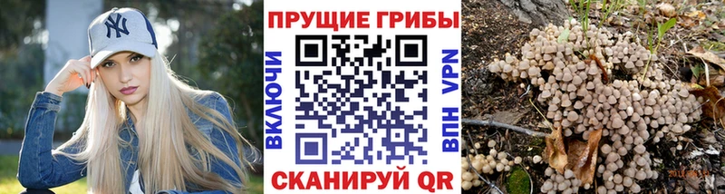 Галлюциногенные грибы Psilocybine cubensis  купить закладку  Лиски 